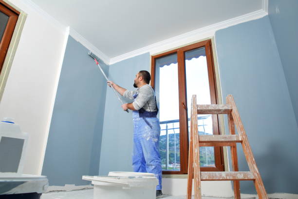 Best Drywall Removal and Disposal  in Amberley, OH