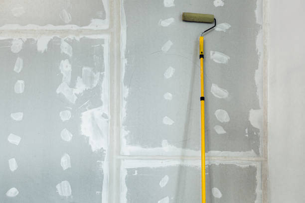 Best Water-Damaged Drywall Repair  in Amberley, OH